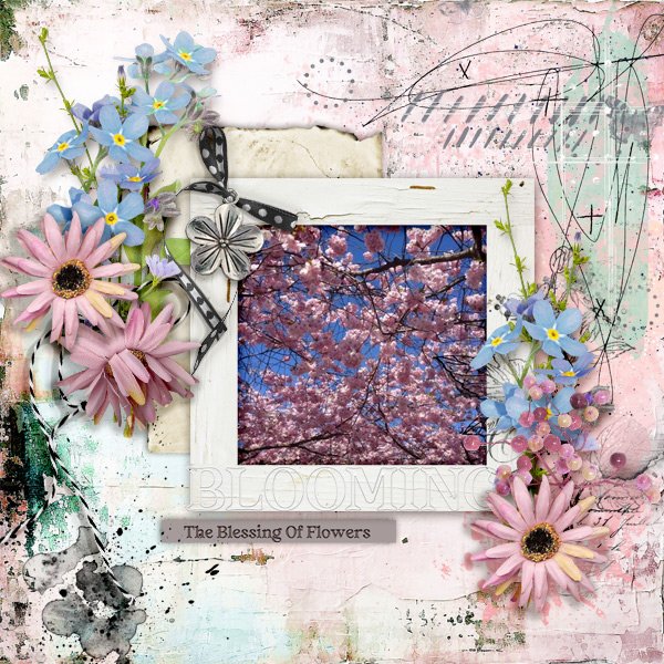Blooming.jpg