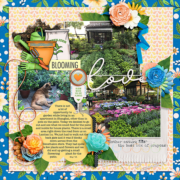 Blooming Love