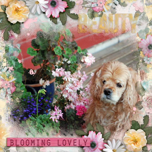 Blooming-lovely2