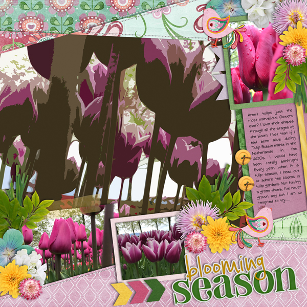 Blooming Season
