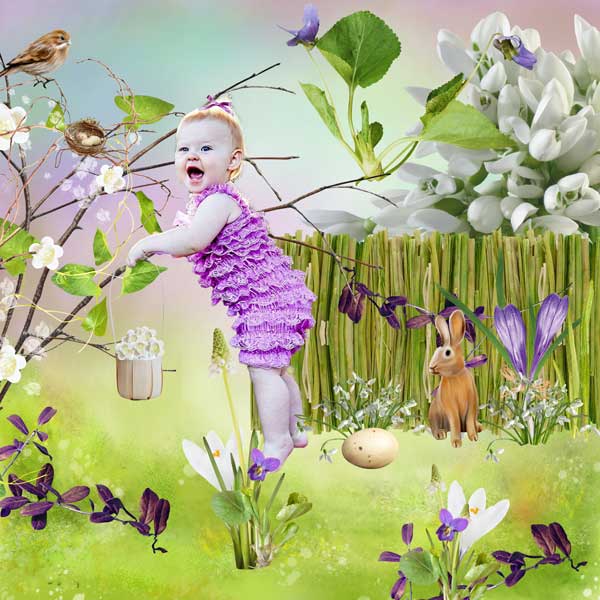 blooming spring