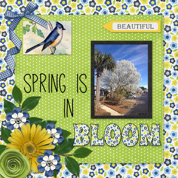 Blooming Spring