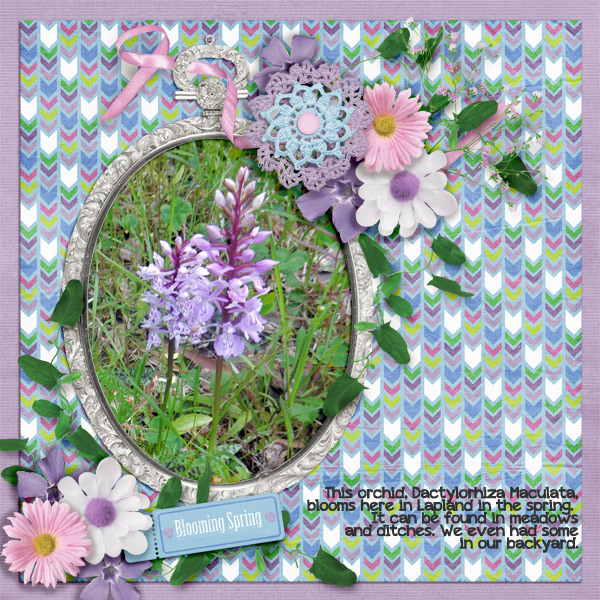 Blooming-spring