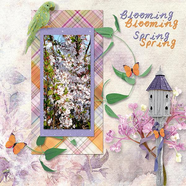 Blooming Spring