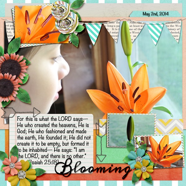 Blooming