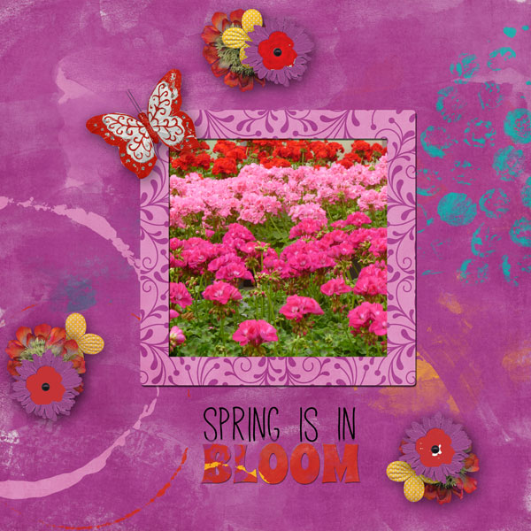 Blooming