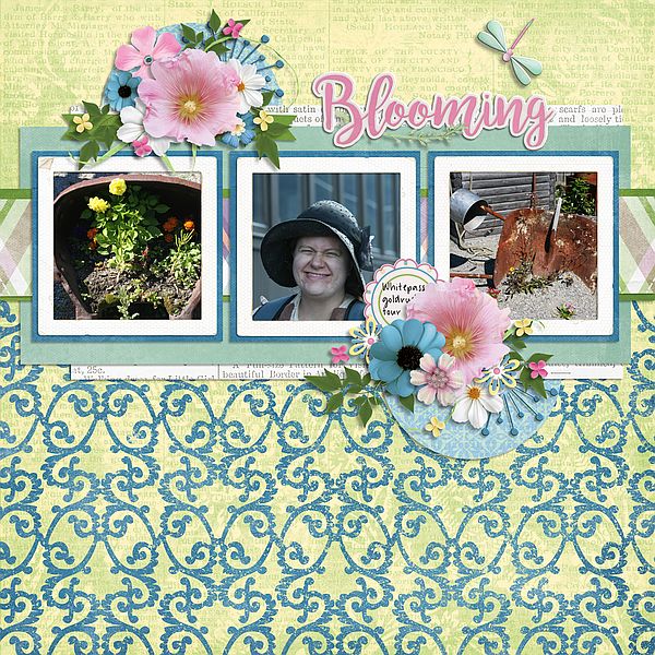 Blooming