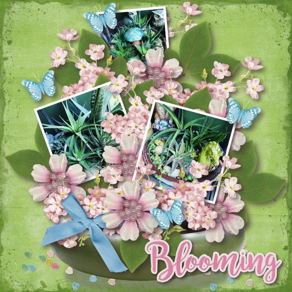 Blooming