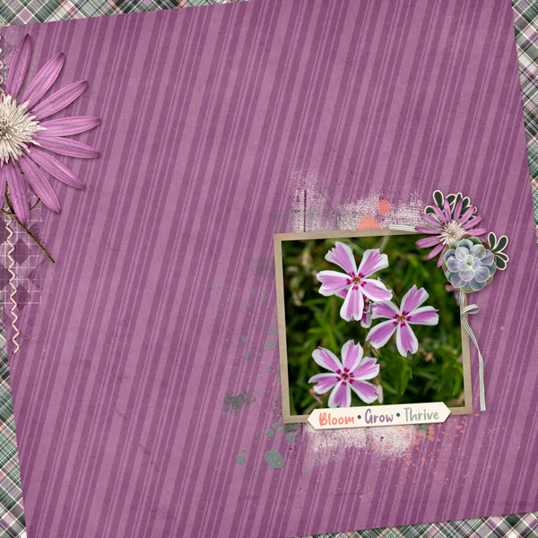 Blooming