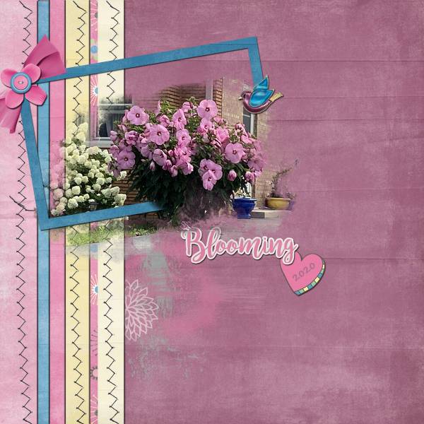 Blooming