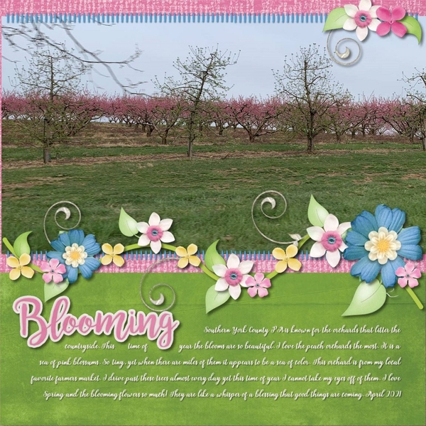 Blooming