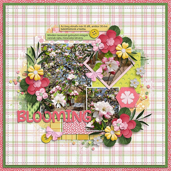 Blooming