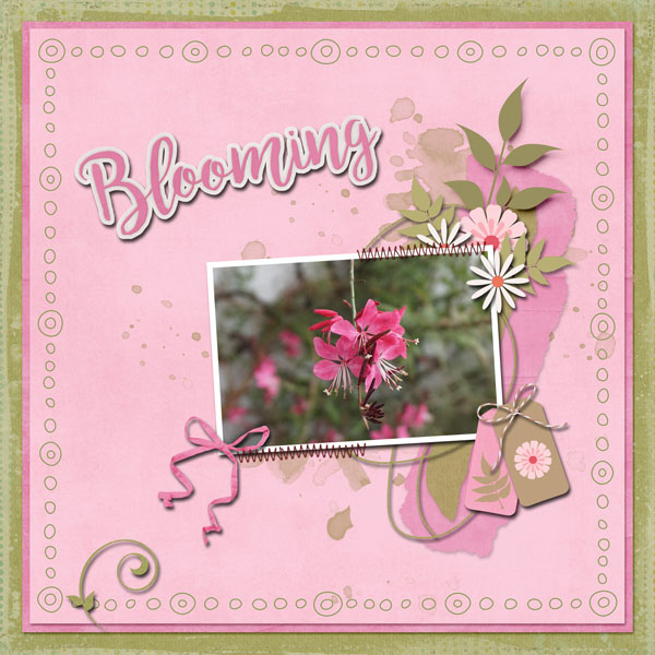 Blooming