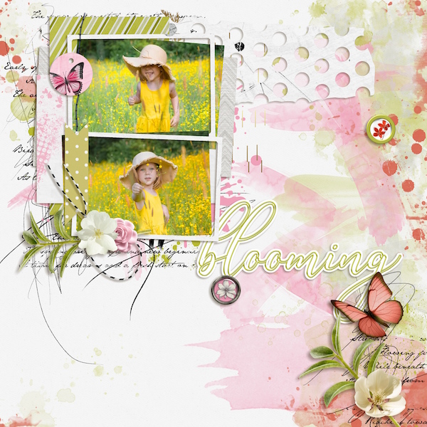 Blooming