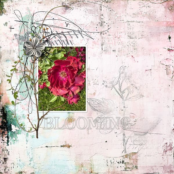 Blooming