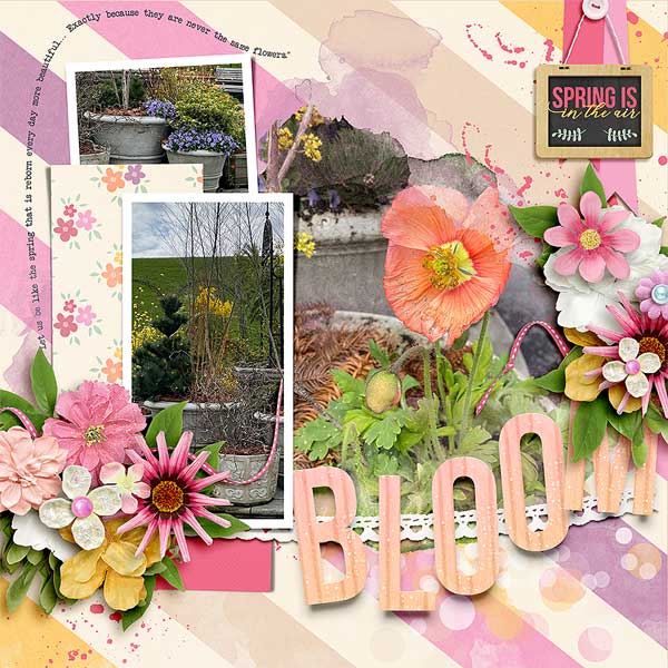 bloomlongwood