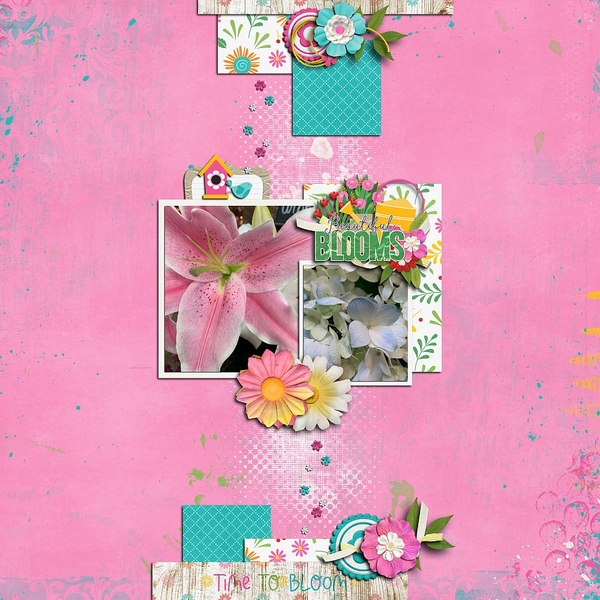 Blooms in Winter