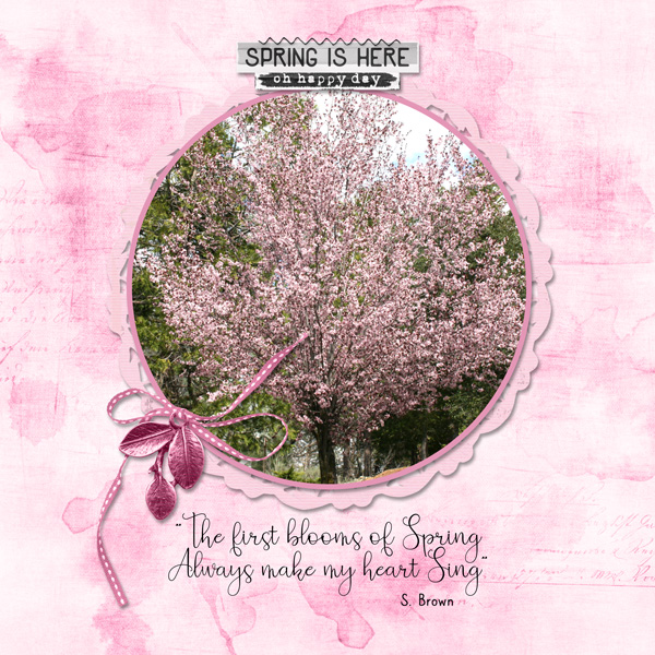 Blooms of Spring