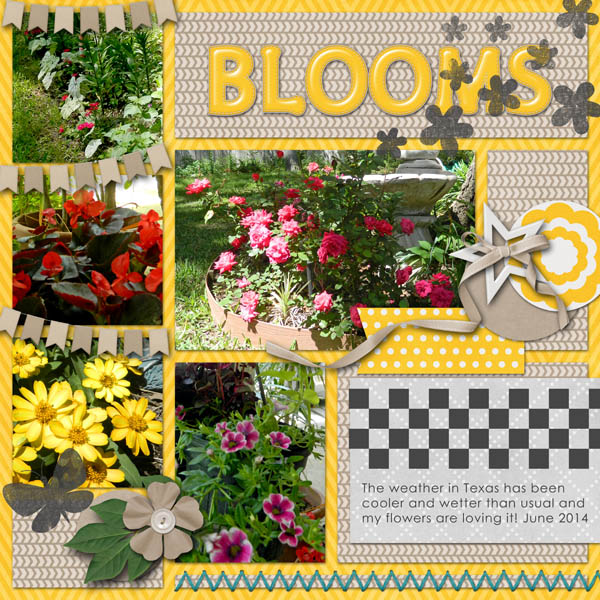 Blooms