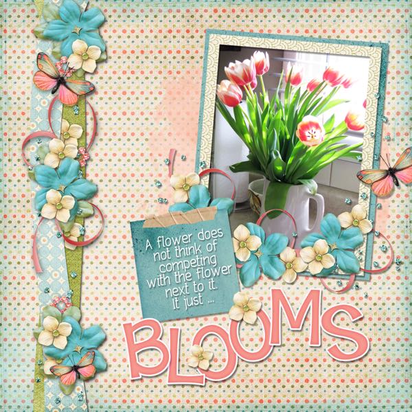 Blooms