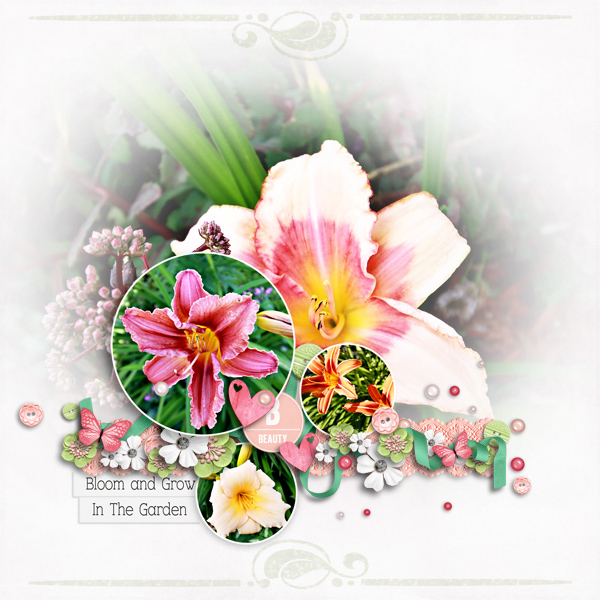 Blooms