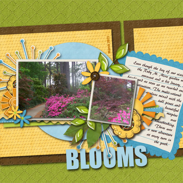 Blooms