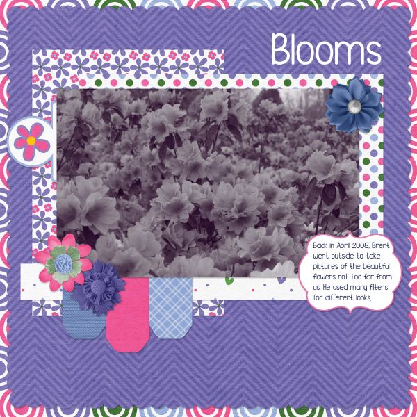 Blooms