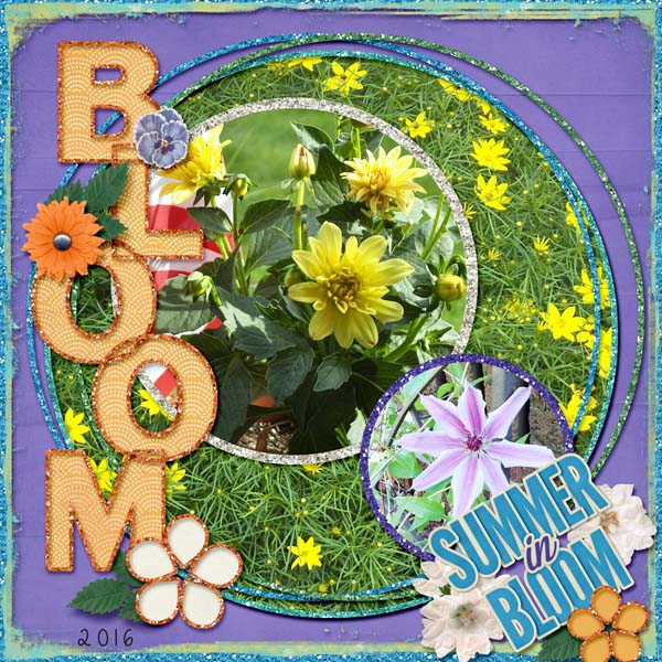 Blooms