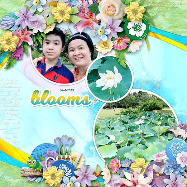 Blooms