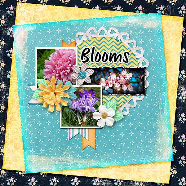 Blooms