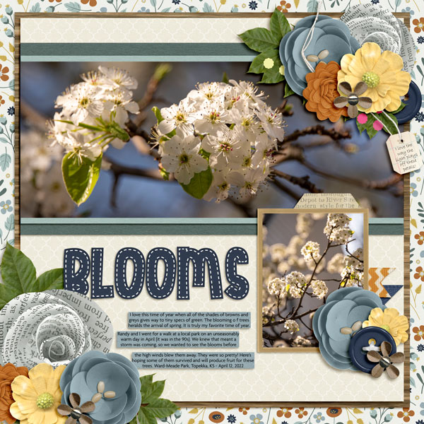 Blooms