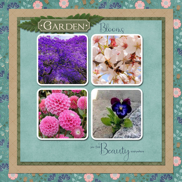 Blooms