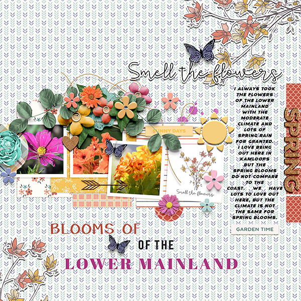 Blooms