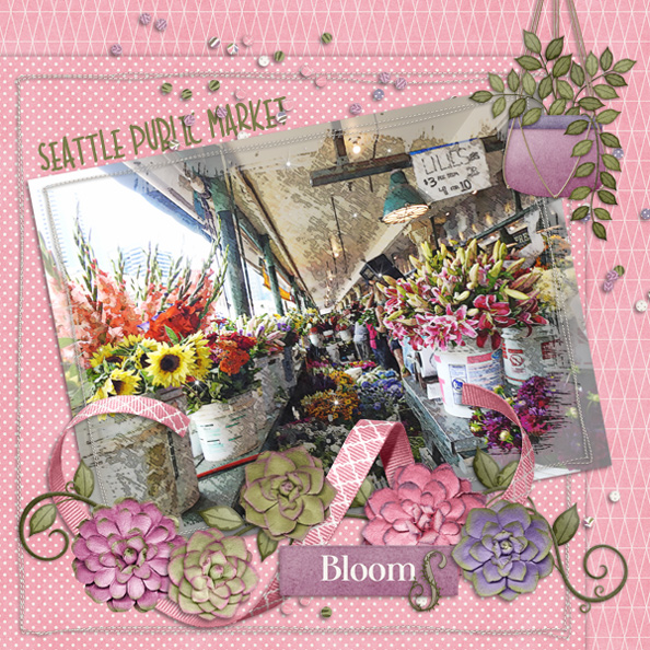 Blooms