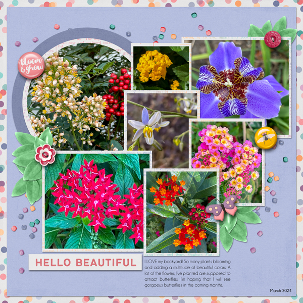 Blooms