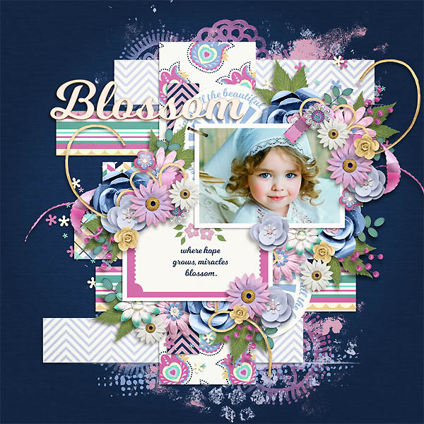 Blossom Bundle