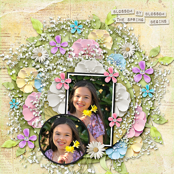 Blossom By Blossom