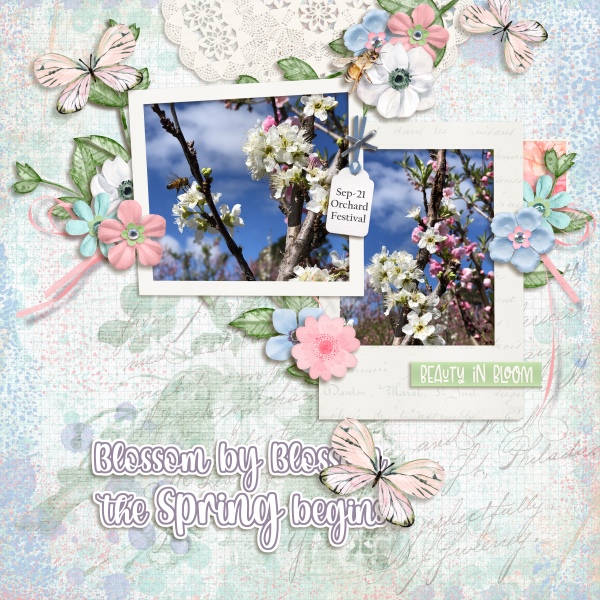Blossom by blossom