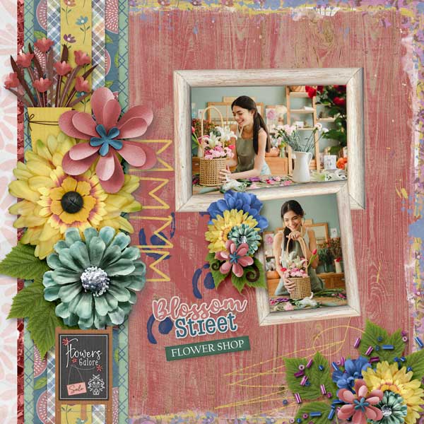 Blossom Street by Aimee Harrison
