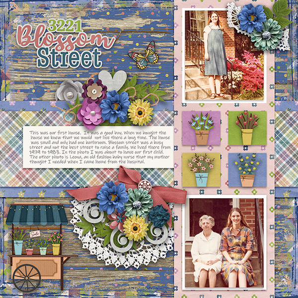 Blossom Street