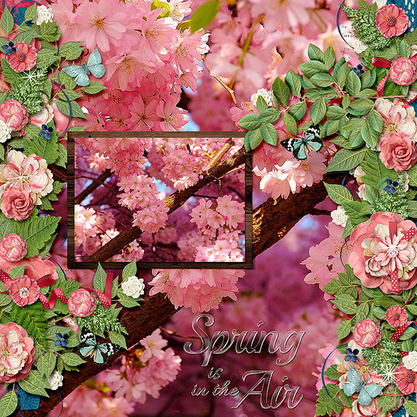 Blossom