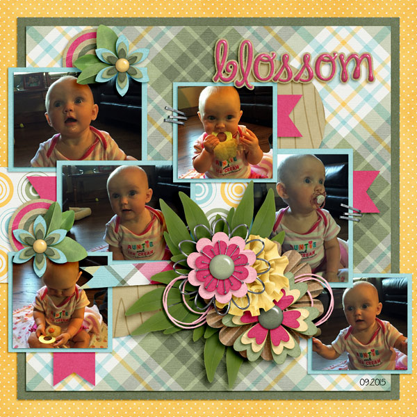 Blossom