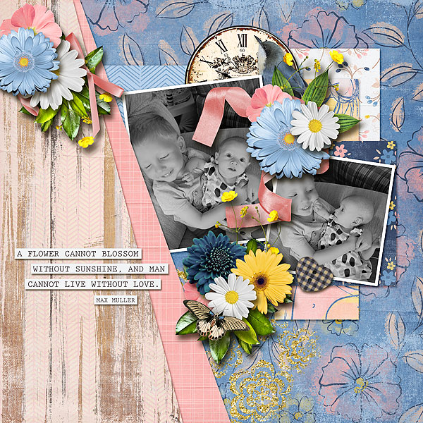 Blossom