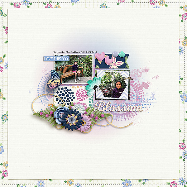 Blossom