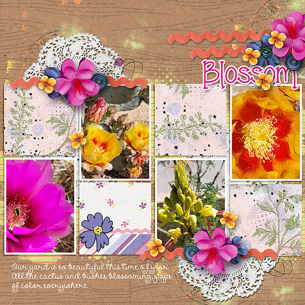 Blossom