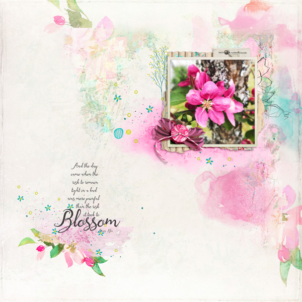 Blossom