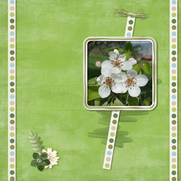 Blossom
