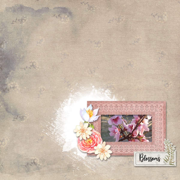 Blossom