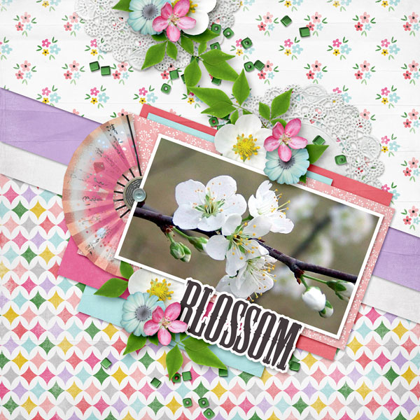 Blossom