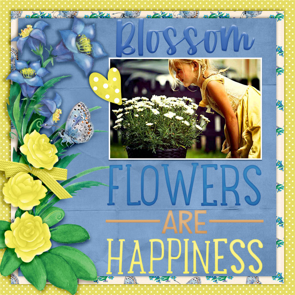 Blossom11